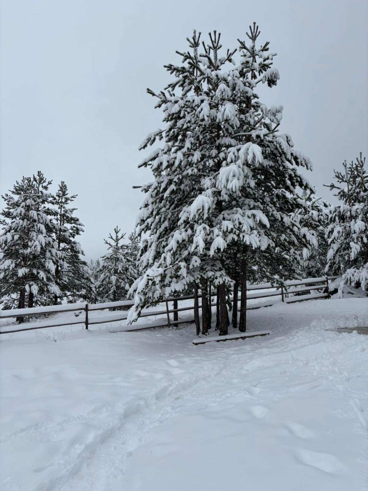 Zabljak_Vikendica 外观 照片